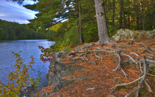 501223 (a): :2560x1600